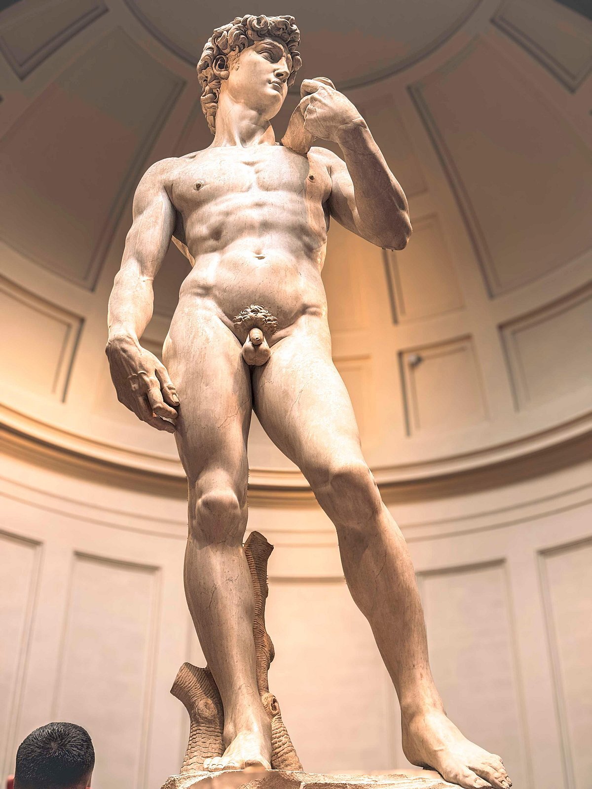 フィレンツェ：ミケランジェロのダビデ像 入場チケットとオーディオアプリ