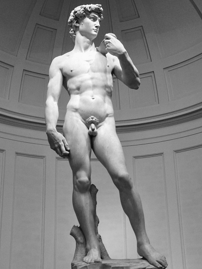 Michelangelo's David