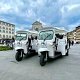 Florence: Electric Tuk-Tuk or Golf Cart City Tour