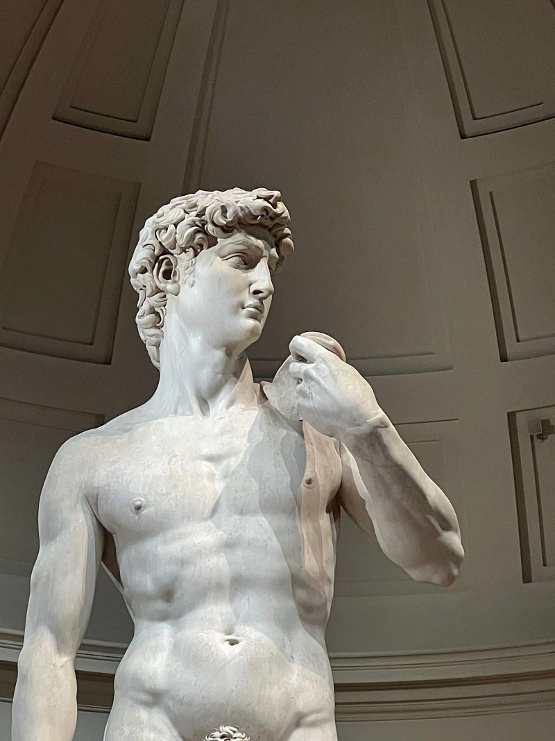Firenze: Visita guidata alla Galleria dell'Accademia e ingresso prioritario