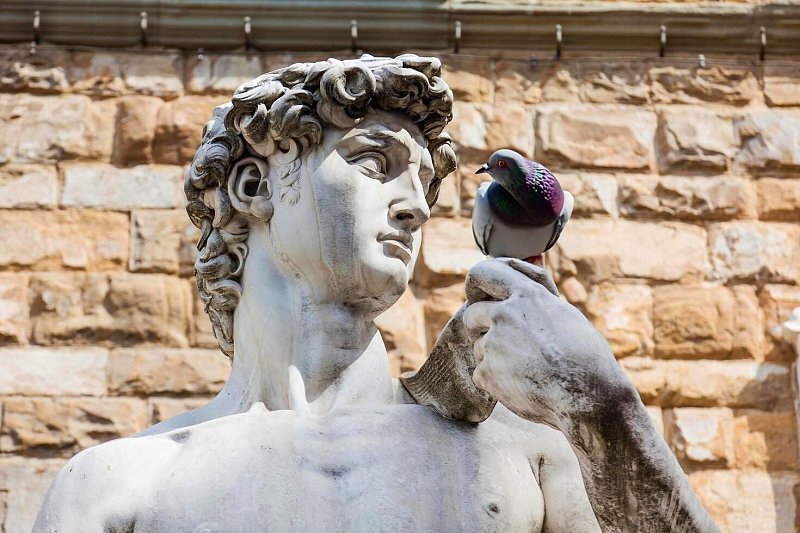 Florencia: El David de Miguel Ángel - Fun Facts Only Tour