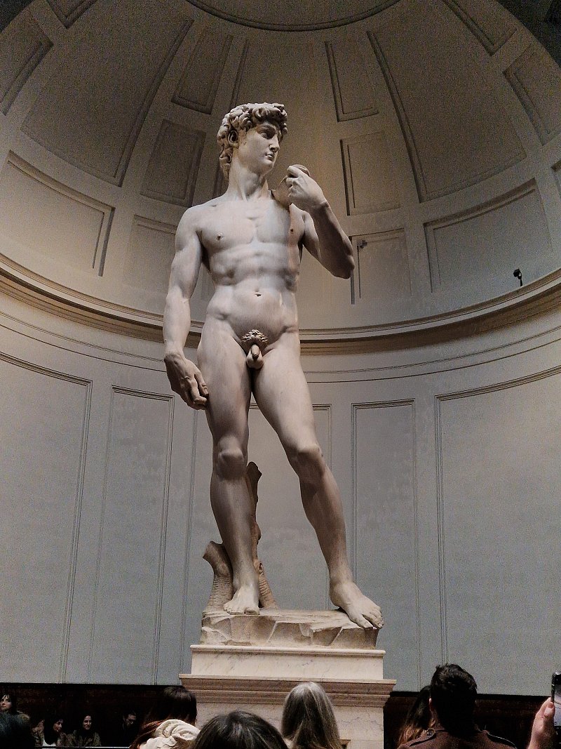 Florenz: Private Führung durch die Galleria dell'Accademia und die Uffizien