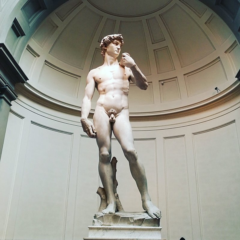Florence: Accademia Gallery Guided Experience
